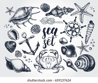 Ink hand drawn set of marine and nautical elements. Sea collection. Template for cards, banners, posters design. Vector illustration.