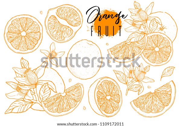 Descubra Tinta Dibujada A Mano De Fruta Imagenes De Stock En Hd Y Millones De Otras Fotos Ilustraciones Y Vectores En Stock Libres De Regalias En La Coleccion De Shutterstock Se Agregan Miles De Imagenes Nuevas De Alta Calidad Todos Los Dias