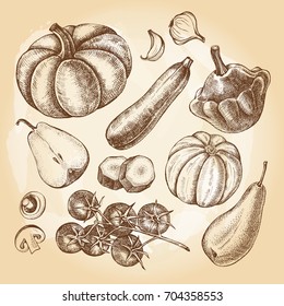 Ink hand drawn set of vegetables and fruits - cherry tomatoes, zucchini, pumpkin, patisson, pears. Autumn harvest elements collection. Vector illustration. Template for menu, posters design.