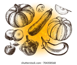 Ink hand drawn set of vegetables - eggplant, zucchini, pumpkin, patisson. Autumn harvest elements collection. Vector illustration. Template for menu, signboard, cards, banners, posters design.
