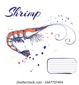 ink hand drawn shrimp or prawn concept for design or decoration. Ink spattered shrimp illustration. vector red king prawn drawn in ink. seafood concept with color splashes on white with place for text