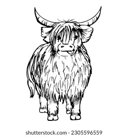 Ink hand drawn sketch of isolated object. Vector black silhouette of domestic animal scottish hairy coo cow livestock with horns. Design tourism, travel, brochure, fabric, guide, print, card, tattoo