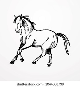 ink hand drawn sketch vector Illustration of horse trot riding sport