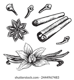 Ink hand drawn spices set. Sketch Vector aromatic ingredient in engraving style. Isolated on white background