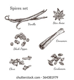 Ink hand drawn spices set