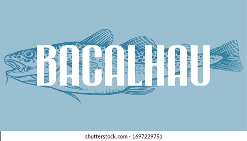 Ink Hand drawn vector illustration of cod fish (Gadus morhua) with text: Bacalhau (cod fish in Portuguese) on blue background