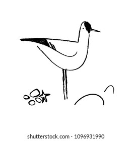 Ink hand drawn vector of a seagull. Bird sign witn sea stones. Minimalist drawing.