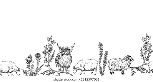 Ink hand drawn vector sketch. Seamless border. Scotland symbol objects. Animals, sheep, hairy coo highland cow, heather and thistle flowers. Design for tourism, travel, brochure, guide, wedding, print