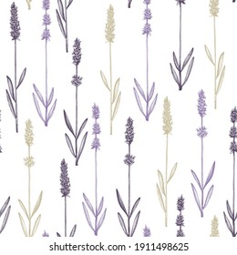 Ink hand sketched lavender backdrop. Vector herbs seamless pattern with lavender sketches. Herbal tea ingredients. Perfect for cosmetic, perfumery packing, fabric, wrapping paper, prints.