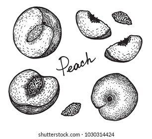 Ink hand-drawn vintage peach illustration