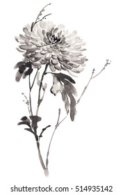 Ink illustration of blooming chrysanthemum. Sumi-e, u-sin, gohua painting style. Silhouette made up of black brush strokes isolated on white background.