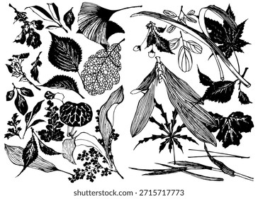 Ilustração a tinta de diferentes folhas, ramos, flores em estilo de chifres isolados em um fundo branco