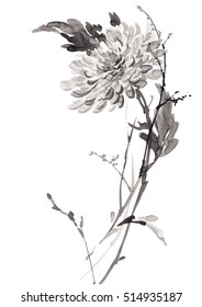 Ink illustration of flower, blooming chrysanthemum. Sumi-e, u-sin, gohua painting style. Silhouette made up of black brush strokes isolated on white background.