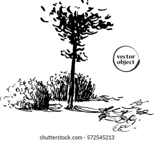 Ink illustration of growing trees with some grass.