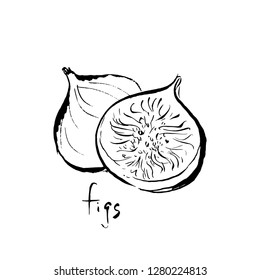 Ink illustration with the image of a fig.