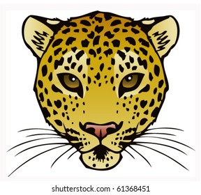 An ink illustration of a Leopard's face. Vector.