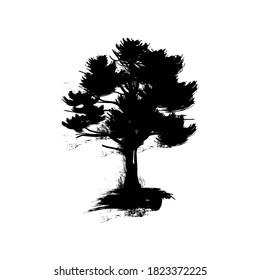 Ink illustration of a pine tree. Black and white illustration. Vector.
