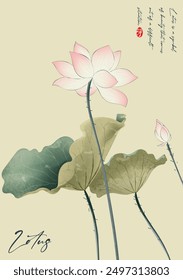 Ink illustrations of lotus flowers in full bloom