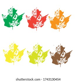 Impresión de tinta de hoja de arce con estrías y textura. Sello de hoja aislado en fondo blanco. Ilustración del vector
