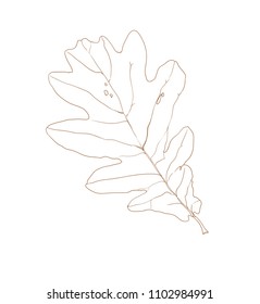 Ink Leaf, Hand drawn silhouette of tree leaves. Vector Illustration