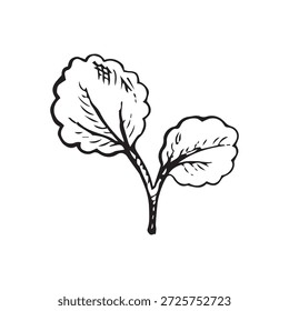 Desenho de linha de tinta de folhas de bétula em um galho em estilo botânico vintage. Adequado para rótulos, embalagens, logotipos, desenhos de ervas e impressões com temas naturais.