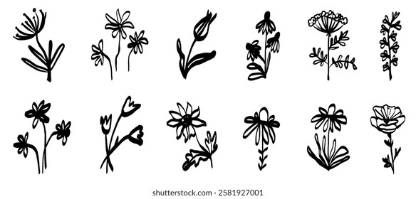 Ink marker gouache flowers hand drawn sketches illustrations. Dry brush stroke simple minimalistic floral doodles isolated on white for cosmetics, kid education.