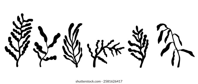 Ink Marker seaweed flowers hand drawn sketches illustrations. Dry brush stroke simple minimalistic floral doodles isolated on white for cosmetics, kid education.