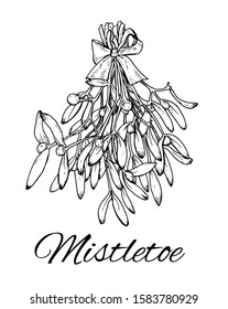 Ink Mistletoe Hand drawn sketch. Branches with bow.Mistletoe leaves, berries bouquet.Vector illustration isolated on white background.Perfect for Christmas greeting card, poster, template, invitations