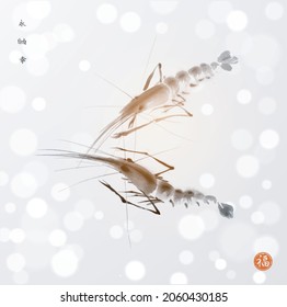 Ink painting of big ocean shrimps on white glowing background. Hieroglyphs - eternity, freedom, happiness, well-being.