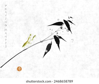 Ink painting of green praying mantis sitting on  bamboo tree branch on rice paper background. Traditional oriental ink painting sumi-e, u-sin, go-hua. Hieroglyph - clarity.