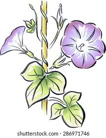 Ink painting of morning glory (Japanese style)