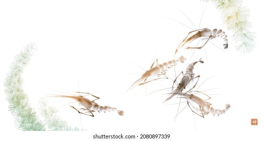 Ink painting of shrimps in green seaweed. Traditional oriental ink painting sumi-e, u-sin, go-hua. Translation of hieroglyph - zen.