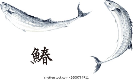 Ink painting of Spanish mackerel. Japanese it is written "Spanish mackerel"