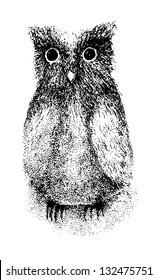 Ink pen drawing of an owlet, vector.