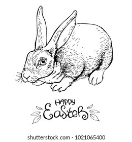 Ink pen easter rabbit on white background. Happy Easter. Vector illustration. Spring holiday card. Perfect for greeting card, invitation, postcard, print.