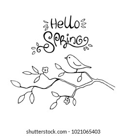 Ink pen lettering Hello Spring and a bird on a branch on white background. Vector illustration. Perfect for greeting card, invitation, postcard, print.