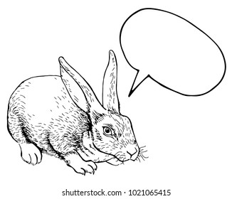 Ink pen rabbit with space for text on white background. Vector illustration. Perfect for greeting card, invitation, postcard, print.