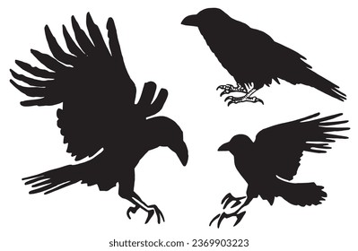 Ink pen vector  set of silhouettes of crows isolated on white background. Elements for design,tattoo and printing	
