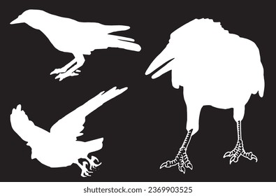 Ink pen vector  set of silhouettes of crows  on black background. Elements for design,tattoo and printing	