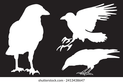 Ink pen vector set of silhouettes of crows on black background. Elements for design,tattoo and printing	