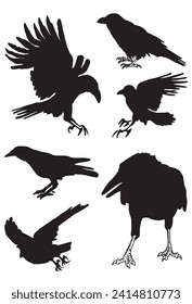 Ink pen vector set of silhouettes of crows isolated on white background. Elements for design,tattoo and printing	