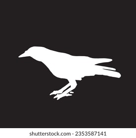 Ink pen vector silhouette of crow isolated on black background. Element for design,tattoo and printing