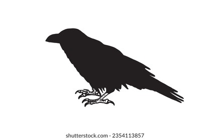 Ink pen vector silhouette of crow isolated on white background. Element for design,tattoo and printing