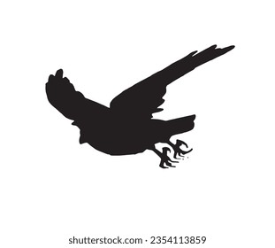 Ink pen vector silhouette of crow isolated on white background. Element for design,tattoo and printing