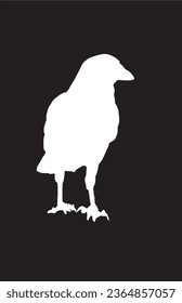Ink pen vector silhouette of crow isolated on black background. Element for design,tattoo and printing