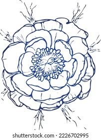 Ink, pencil, black and white flower sketch.Transparent background. Hand drawn nature painting. Freehand sketching illustration.