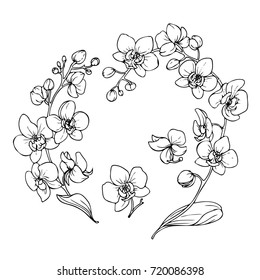 Ink, pencil, black and white  flower sketch.Transparent background. Hand drawn nature painting. Freehand sketching illustration. 