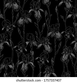 Ink, pencil, black and white iris flowers seamless pattern. Black background. Hand drawn nature painting. Freehand sketching illustration.