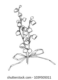 Ink, pencil, black and white  lilies sketch.Transparent background. Hand drawn nature painting. Freehand sketching illustration. 