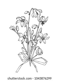 Ink, pencil, black and white snowdrops bouquet sketch.Transparent background. Hand drawn nature painting. Freehand sketching illustration. 